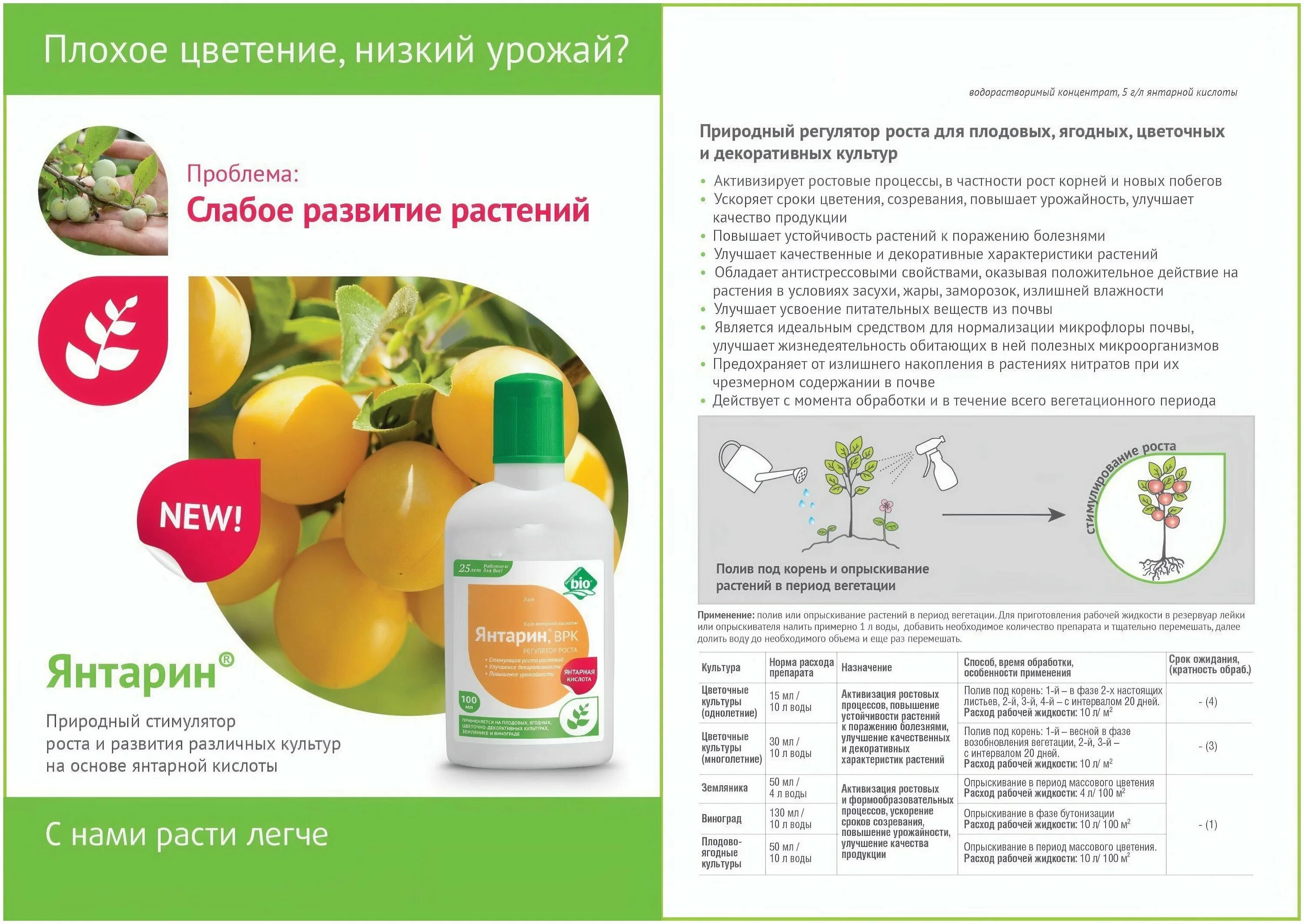 Дозировка янтарной кислоты для полива растений. Для растений. Как развести янтарную. Янтарная кислота для растений и рассады. Регулятор роста растений янтарин 100мл, август.