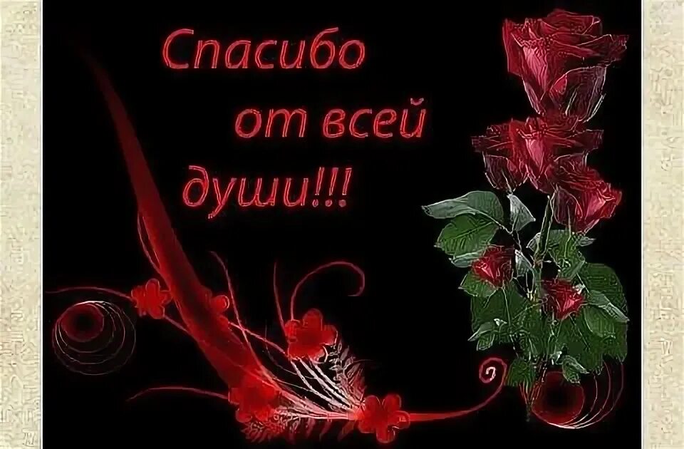 Спасибо за вечер