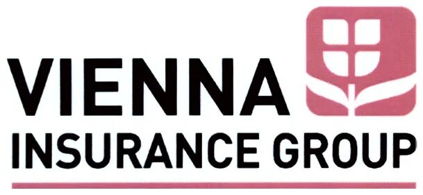 Vienna insurance Group. Meet-компания «Vienna insurance Group». Генеральный директор Donaris Vienna insurance Group. Глобал Иншуранс груп.