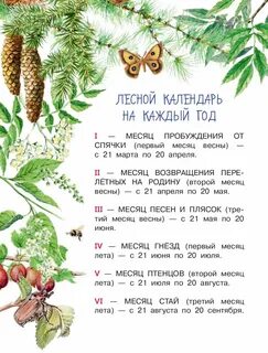 Рассказы виталия бианки лесная газета