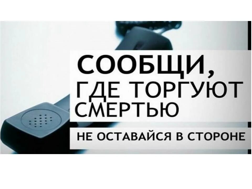 Уведомлять где. Сообщи где торгуют смертью. Сообщи где торгуют смертью акция. Картинка акция сообщи где торгуют смертью. Сообщи где торгуют смертью картинки.