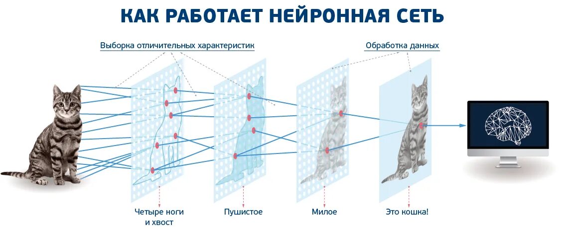 5 нейронные сети. Сверточные нейронные сети для распознавания изображений. схема работы нейросети пример. сверточные нейронные сети как работает. принцип работы нейронной сети.