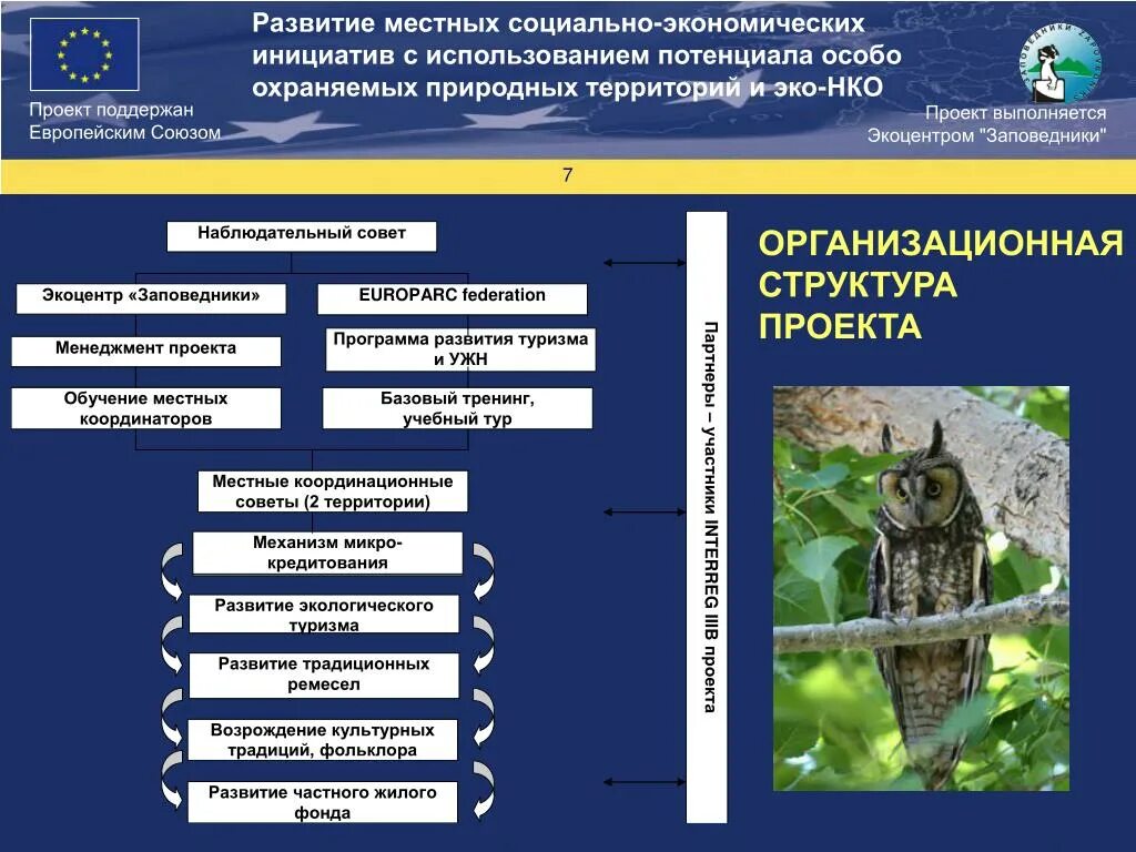 Управление социальным развитием территорий. Организационная структура Заповедное Подлеморье. Организационная структура экоцентра. Структура заповедных. Структура отделов ФГБУ Заповедное Подлеморье.