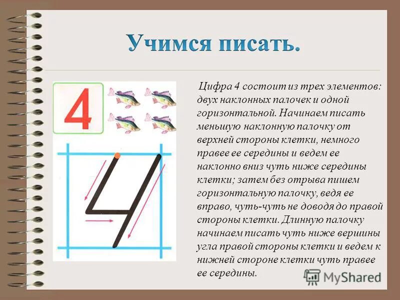 Четверо как правильно пишется. Цифра 4 правильное написание. Алгоритм написания цифр. Как объяснить написание цифры 4. Элементы написания цифры 4.