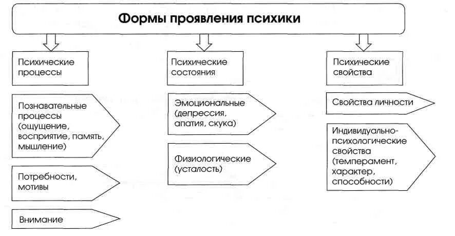 Общие представления о поведении и психике человека 8 класс биология. Основные формы проявления психики человека. Основные функции психики. Основные формы проявления психики таблица.