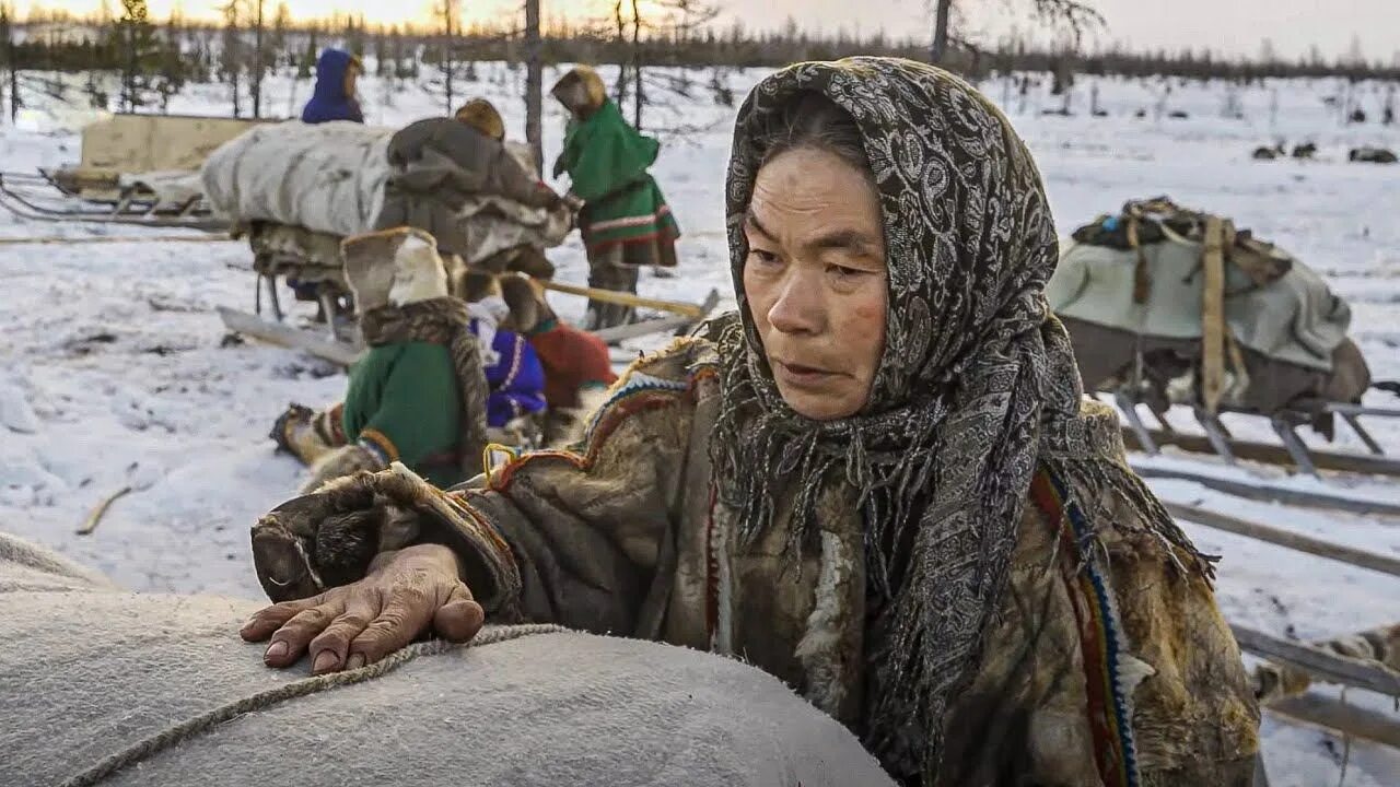 Энцы ненцы и нганасаны. Ненцы, энцы, нганасаны, селькупы. Селькупы ненцы. (Ненцы, Ханты, манси, селькупы.