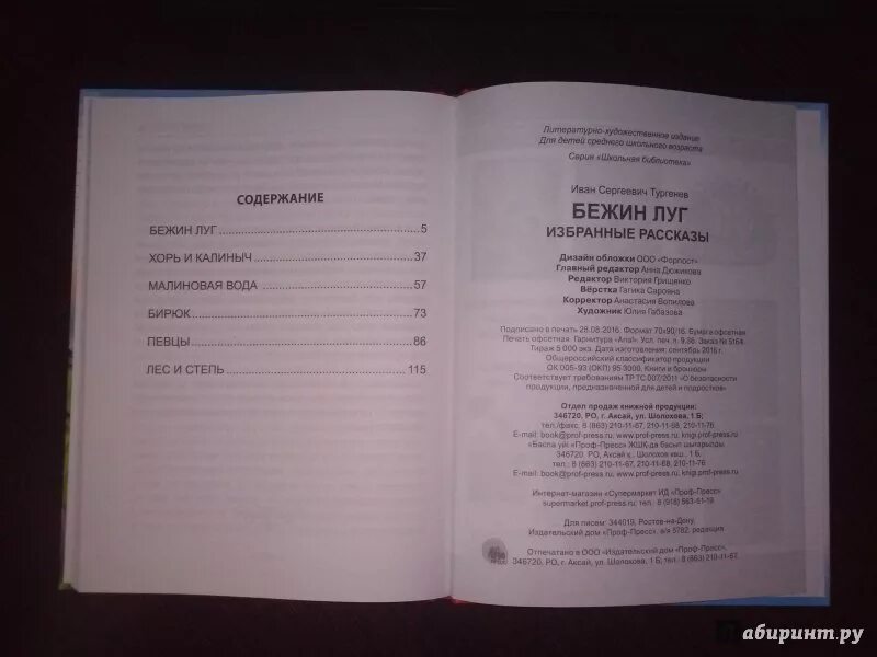 Тургенев сколько страниц. Сколько страниц в произведении Тургенева Бежин луг. Сколько страниц в книге Бежин луг. Сколько страниц в книге Бежин луг Тургенева. Сколько страниц в рассказе Тургенева Бежин луг.