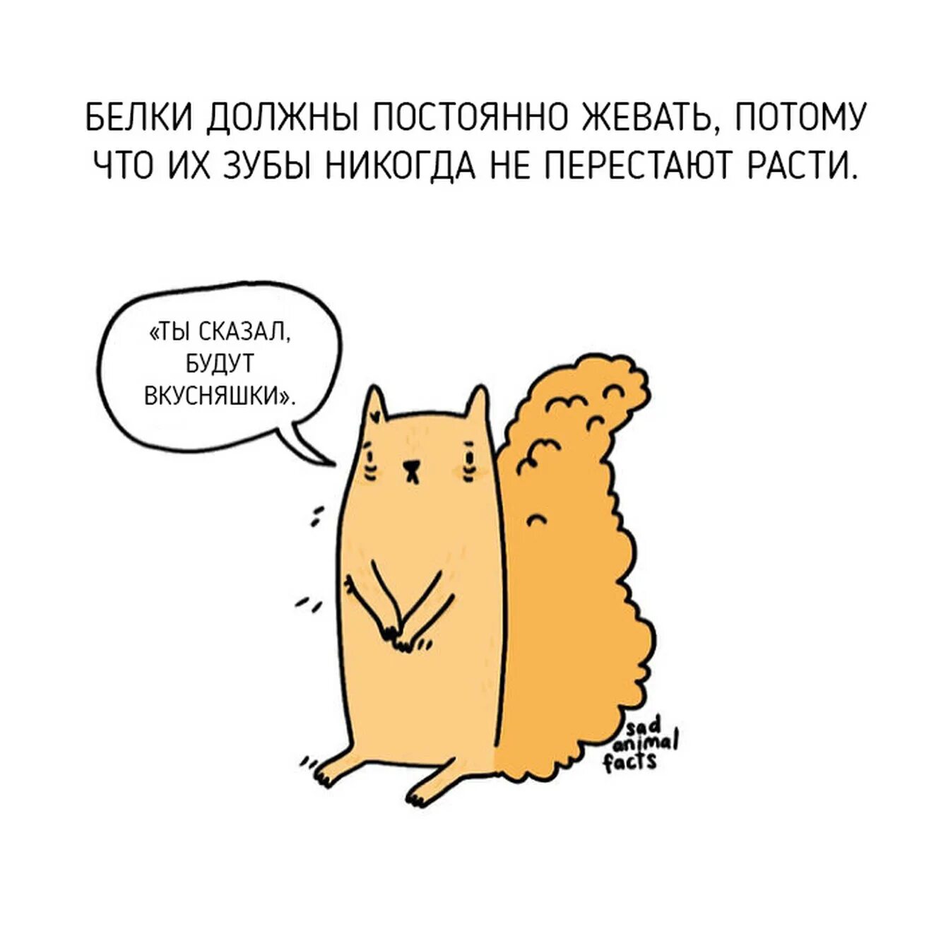 Интересные факты о животных 5 класс. Интересные факты о животных. прикольные факты о животных. интересные и смешные факты о животных. короткие интересные факты о животных.