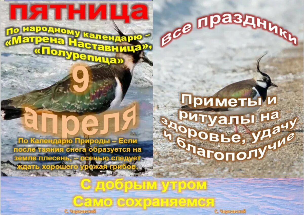 9 апреля есть праздник. 9 Апреля праздник. 9 Апреля народный праздник. Какой сегодня праздник 9 апреля. 9 Апреля какой праздник картинки.