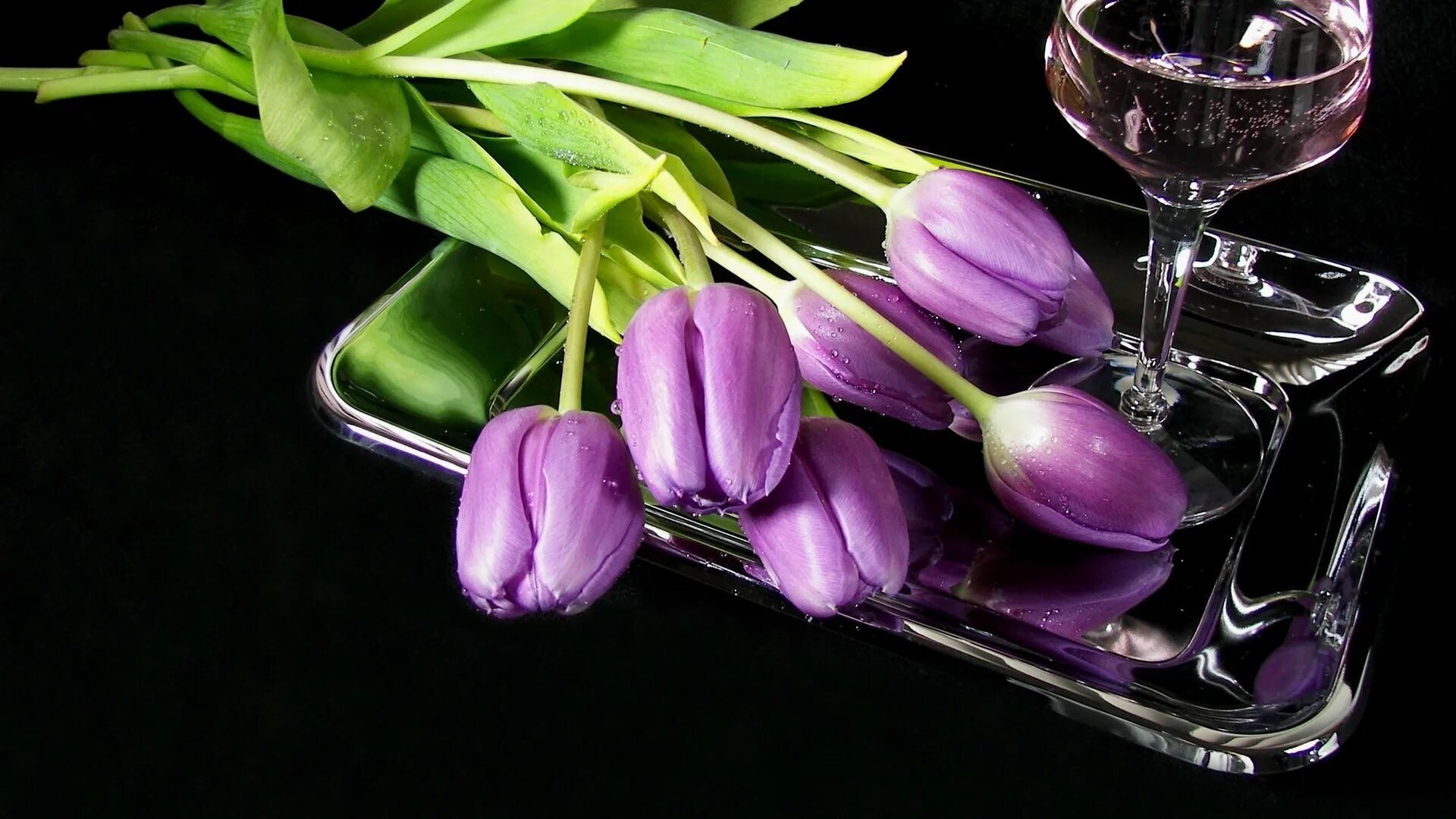 Настроенье мое тюльпанное пахнет зеленью вопреки эй. Цветы тюльпаны. Тюльпан сиреневый. Красивые тюльпаны. Цветы тюльпаны фиолетовые.