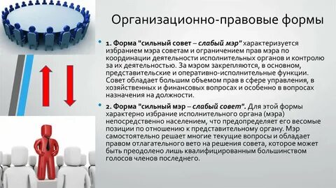 Уполномоченные мэром органы самостоятельно образуют