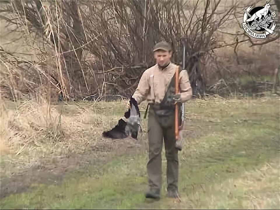 Охота на Воронов, сорок,ворон с мелкашкой 6.5 с засидки. Охота на серую ворону
