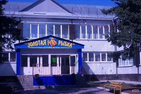 Золотая рыбка новосибирск