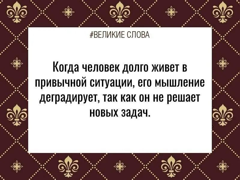 Цитаты последняя фраза
