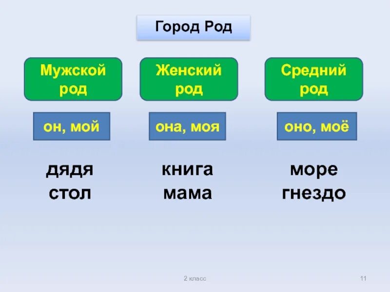 Мужской и женский род. Мужской женский средний род. Мужской женскийспедний род. Мужской род женский род. Мужской род средний род.