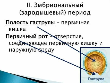 Закон индивидуального развития