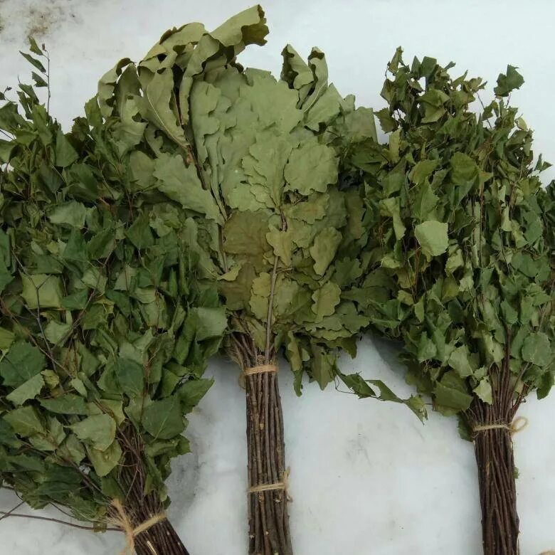 Дубовый или березовый веник лучше. Дубовый или березовый веник лучше. Веник для бани дуб. Веник для бани березовый. Дубовый или березовый веник лучше.