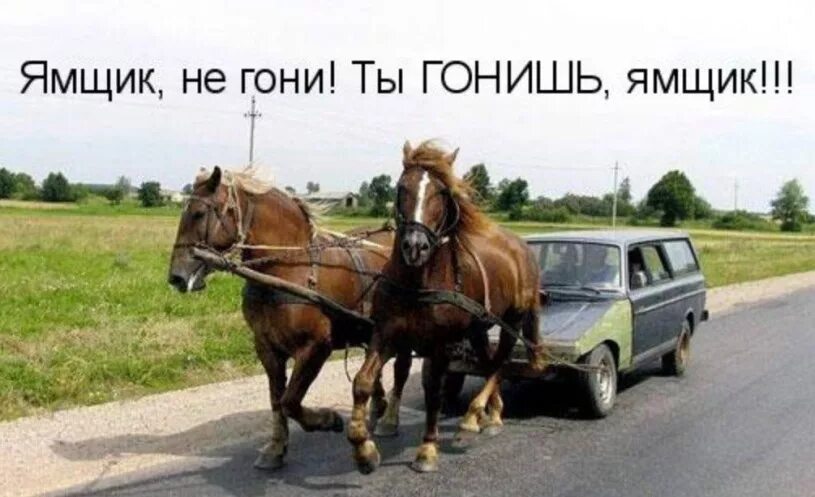 Автомобиль запряженный лошадью. Прикольный конь. Конь и автомобиль.