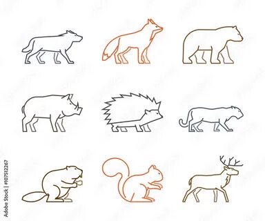 Colored outline set of forest animals. Line silhouettes wild animals isolated on