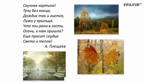 Дождик без конца лужи у крыльца