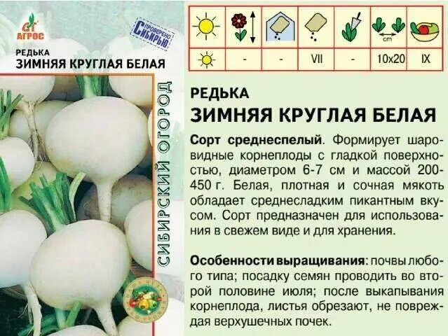 С какого возраста можно редьку ребенку