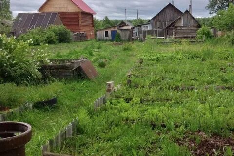 Погода чур