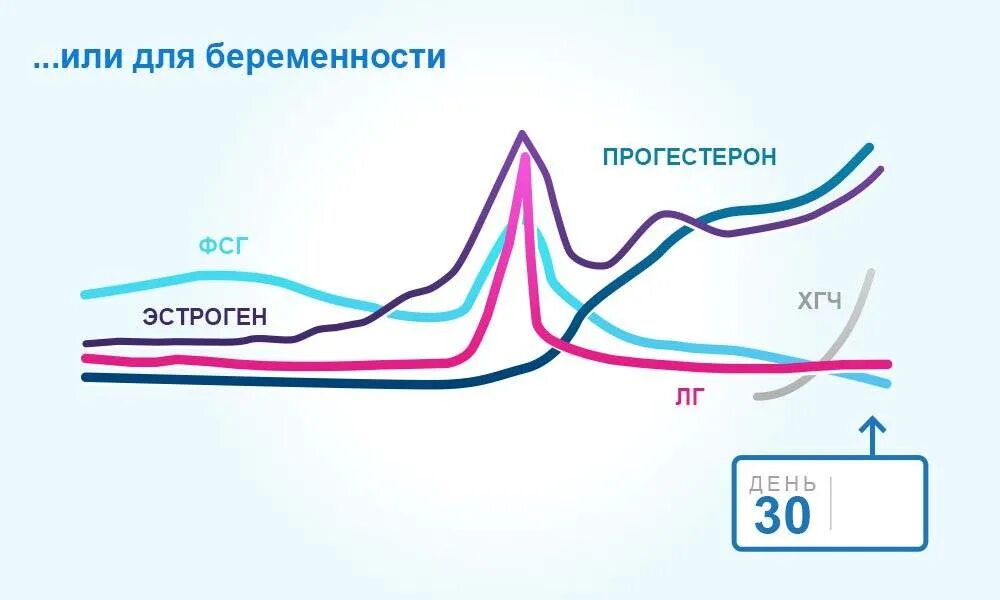 прогестерон гормон низкий у женщин. причины снижения прогестерона. эстрадиол в постменопаузе норма у женщин. прогестерон повышение и понижение. прогестерон половой гормон.