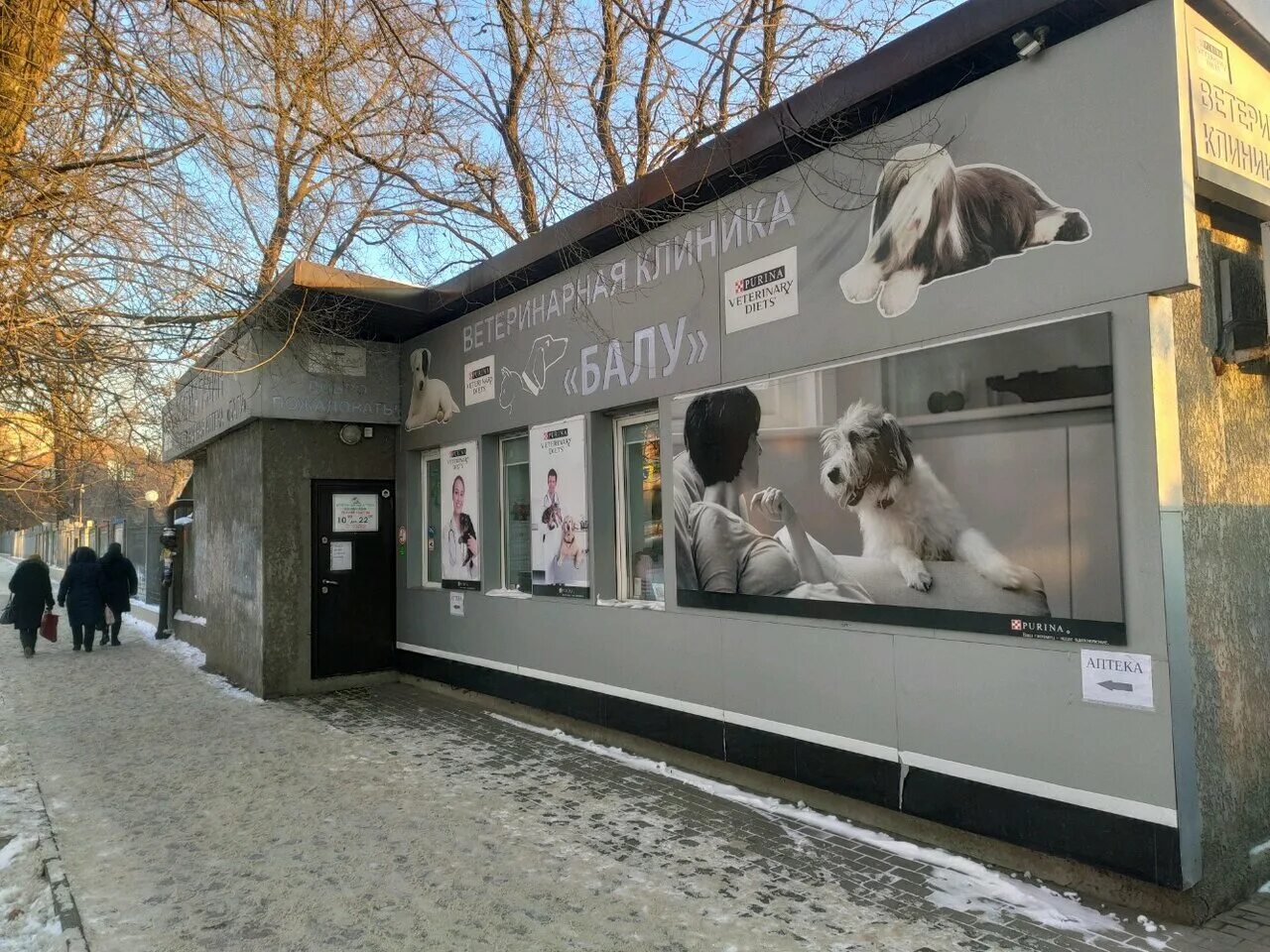 телефон ветклиники на ленина. панда самара мориса тореза ветеринарная клиника. телефон ветклиники на ленина. ветеринарная клиника волгодонск виктория. бердск улица ленина 89/9.