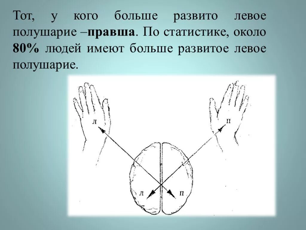 Левое полушарие какая рука