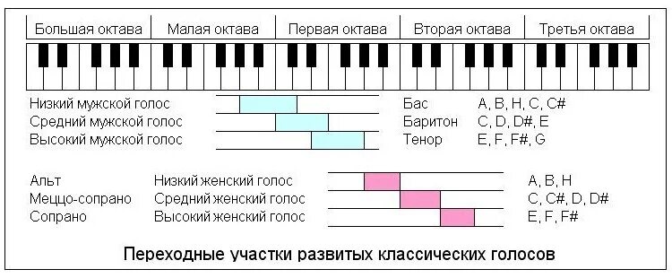 Октавы гагариной. Переходные Ноты у голосов. Тенор диапазон голоса. Переходные Ноты у мужских голосов. Женский голос Октава.