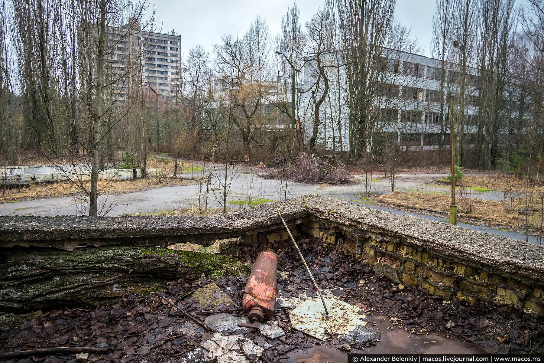 Когда можно жить в чернобыле. Чернобыль город Припять. Припять 1886. Чернобыль город Припять сейчас.