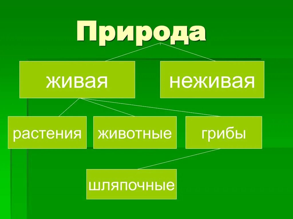 Переход от неживого к живому. Растения это неживая природа. Живое неживое. Грибы это Живая или неживая природа. Яблоко это Живая или неживая природа.