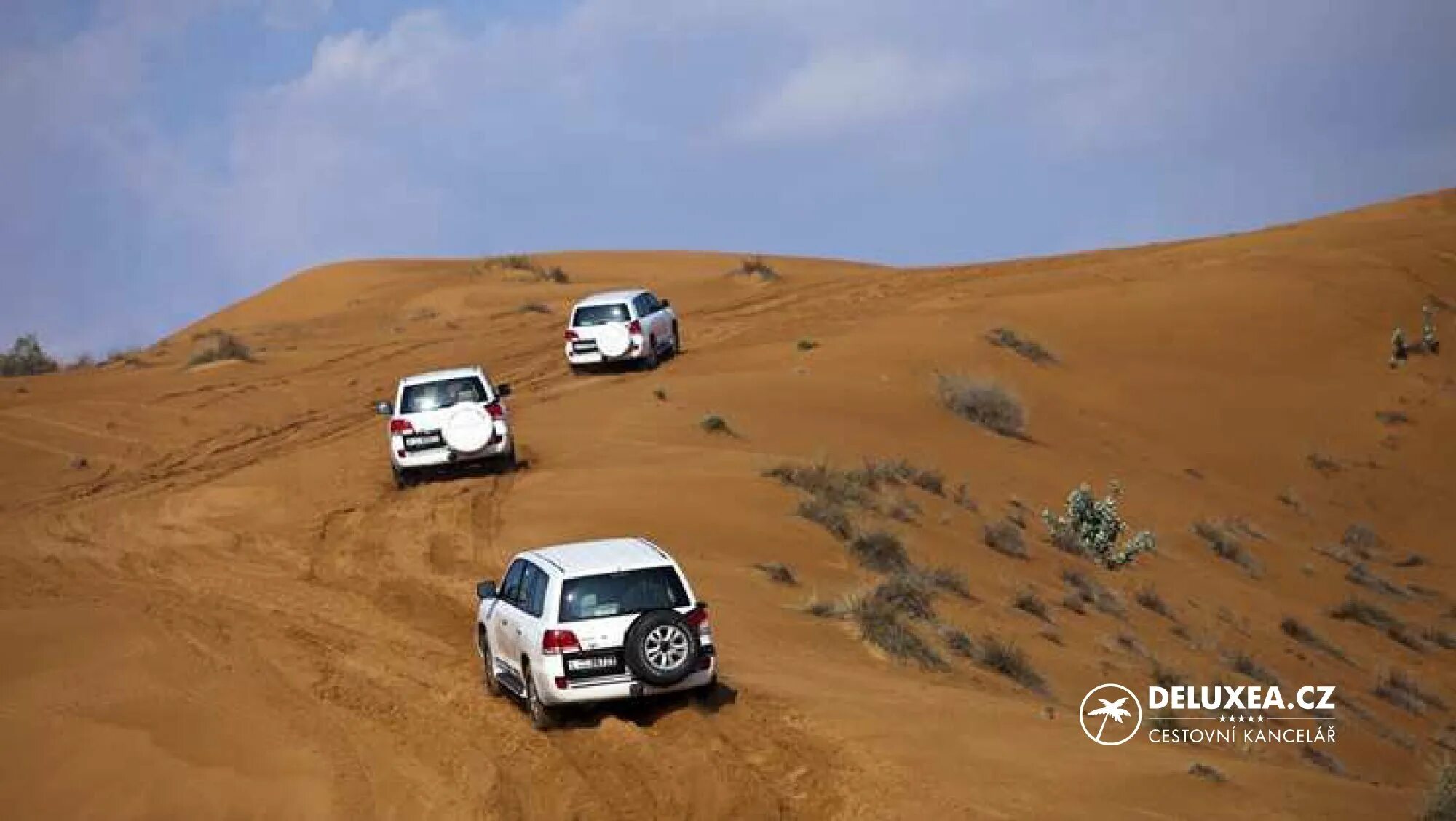 Пустыня в рас аль хайма. Терракотовые пустыни рас эль хайма. Desert safari дубаи. Сафари рас эль хайма. Десерт сафари дубай.