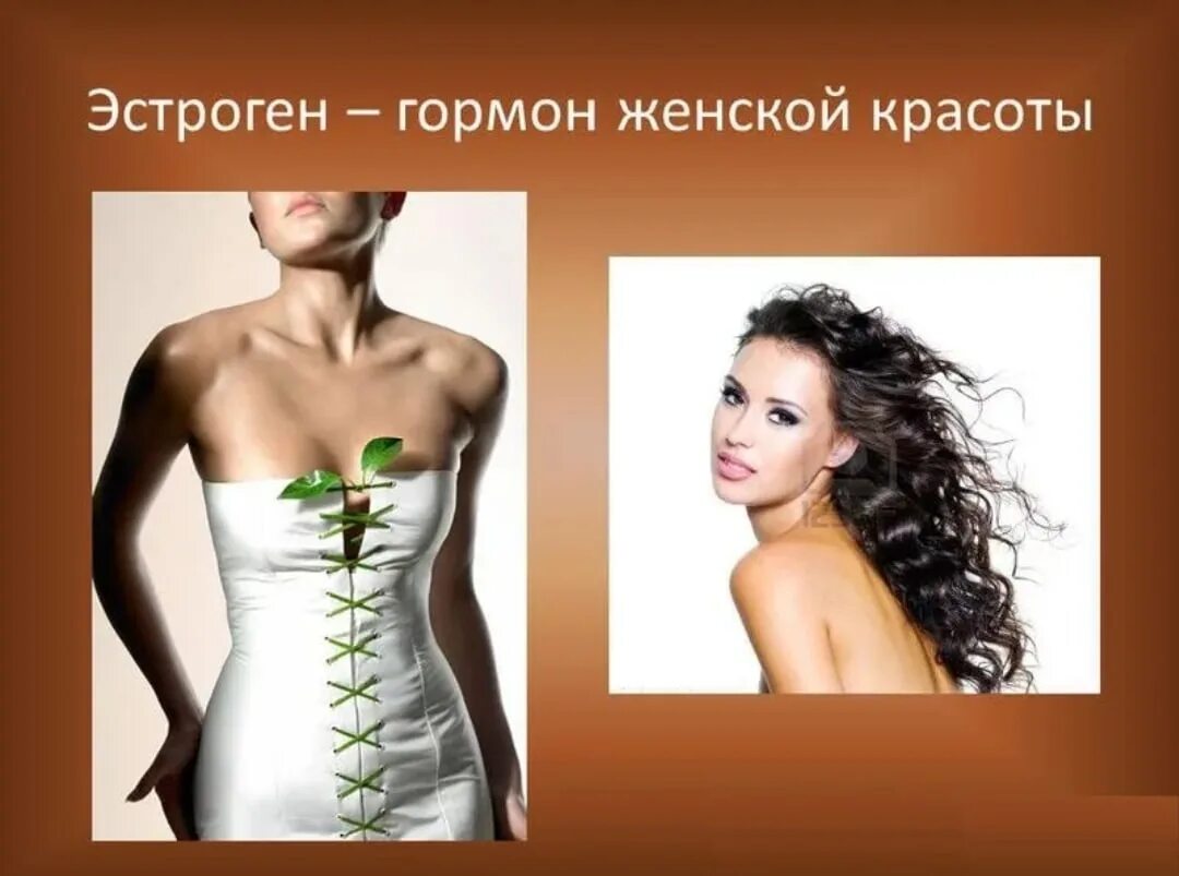 Препараты для снижения эстрогена у женщин. Нарушение гормонального фона в организме;. Эстрогены гормон влияние на организм. Женский гормон эстроген. Повышенный уровень эстрогенов.