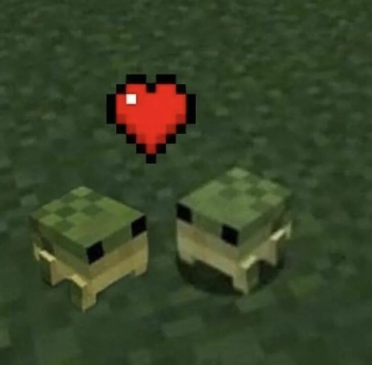 Frog mod minecraft