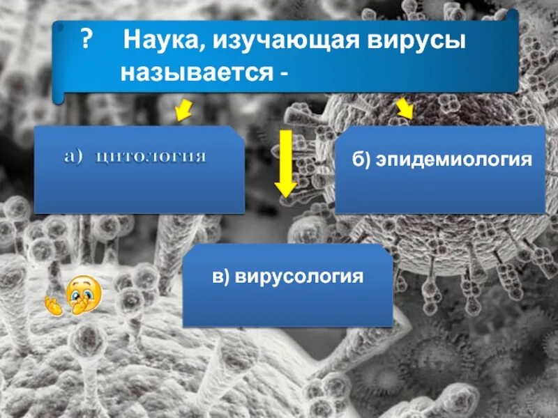 27 синтезы. Синтез вирусного белка. Синтез вирусных белков осуществляется. Синтез вирусных белков осуществляется на рибосомах клетки-хозяина. Вирусы синтезируют белки.