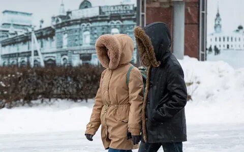 5 градусов мороза