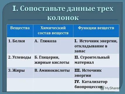 Состав и функции веществ