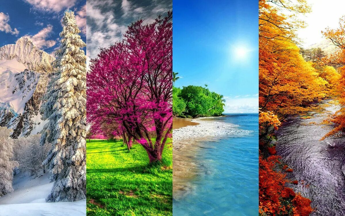 Seasons of the year spring. Пейзаж времена года. Картинка 4 времени года. Пейзаж в четырёх времени года.