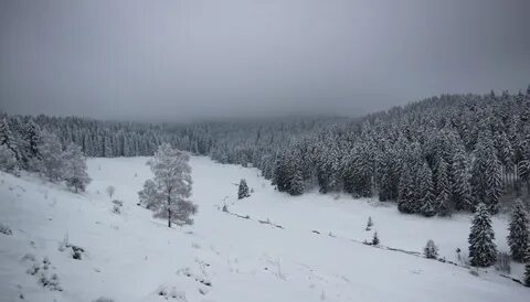Гритинская горка