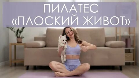 Vvprofitness