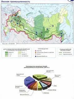 Какой город является центром лесной промышленности