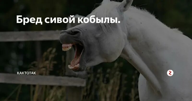 Сивая кобыла значение