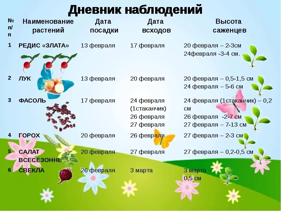 Дневник наблюдений за луком в детском саду. Дневник наблюдений. Календарь наблюдений за растениями. Дневник наблюдений за растениями. Дневник наблюдений за огородом.