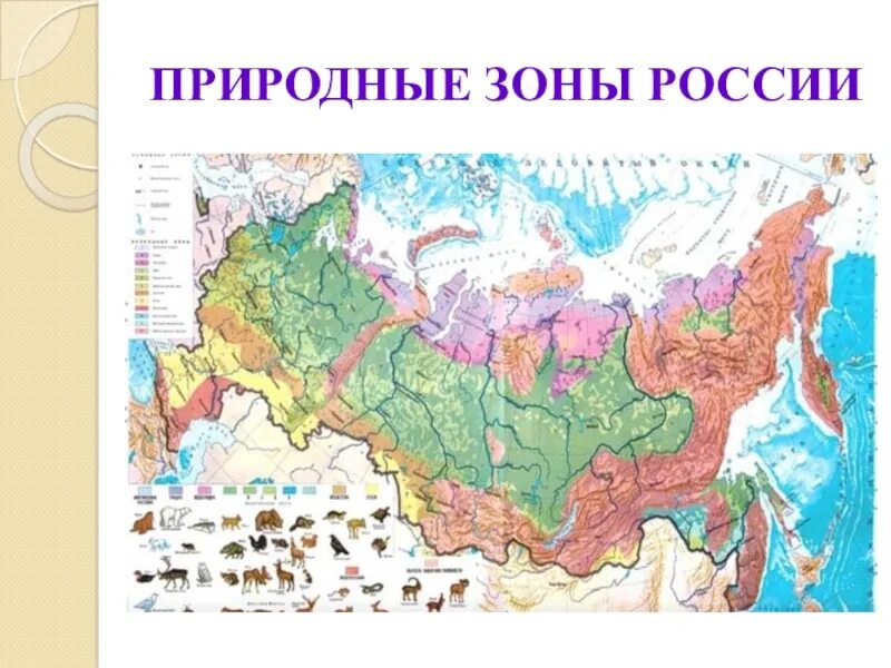 Природные зоны отмеченные на карте. Карта природных зон России. Название природных зон. Расположение природных зон. Природные зоны России картинки.