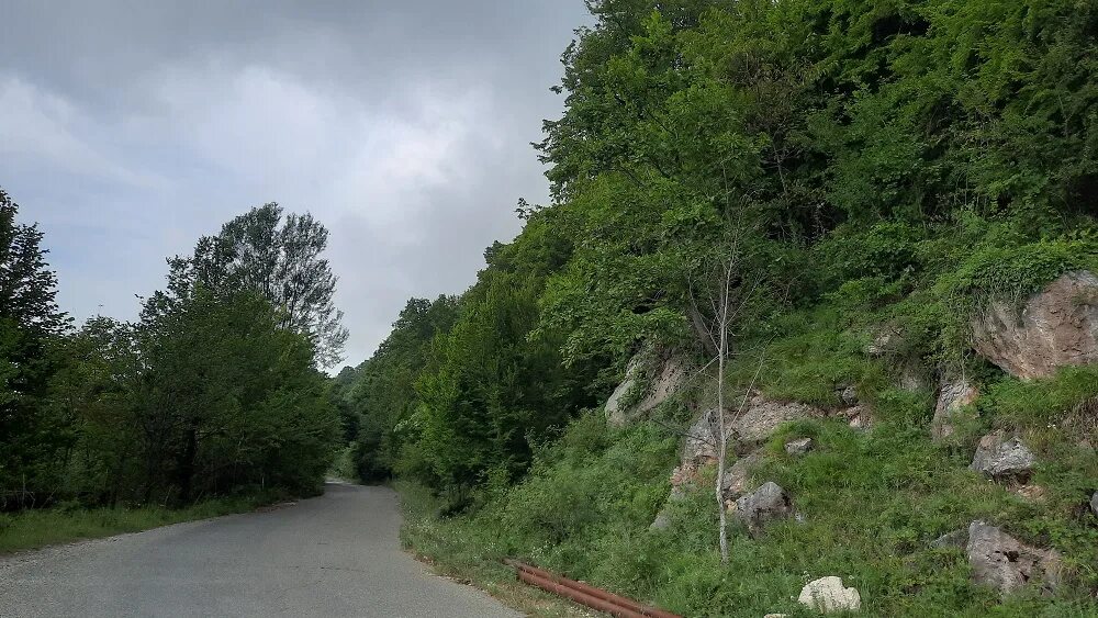 Абхазия джиппинг рица. Дорога сочи абхазия. В абхазию на машине 2023. Кипарис дерево абхазия. Поездка в абхазию на автомобиле.