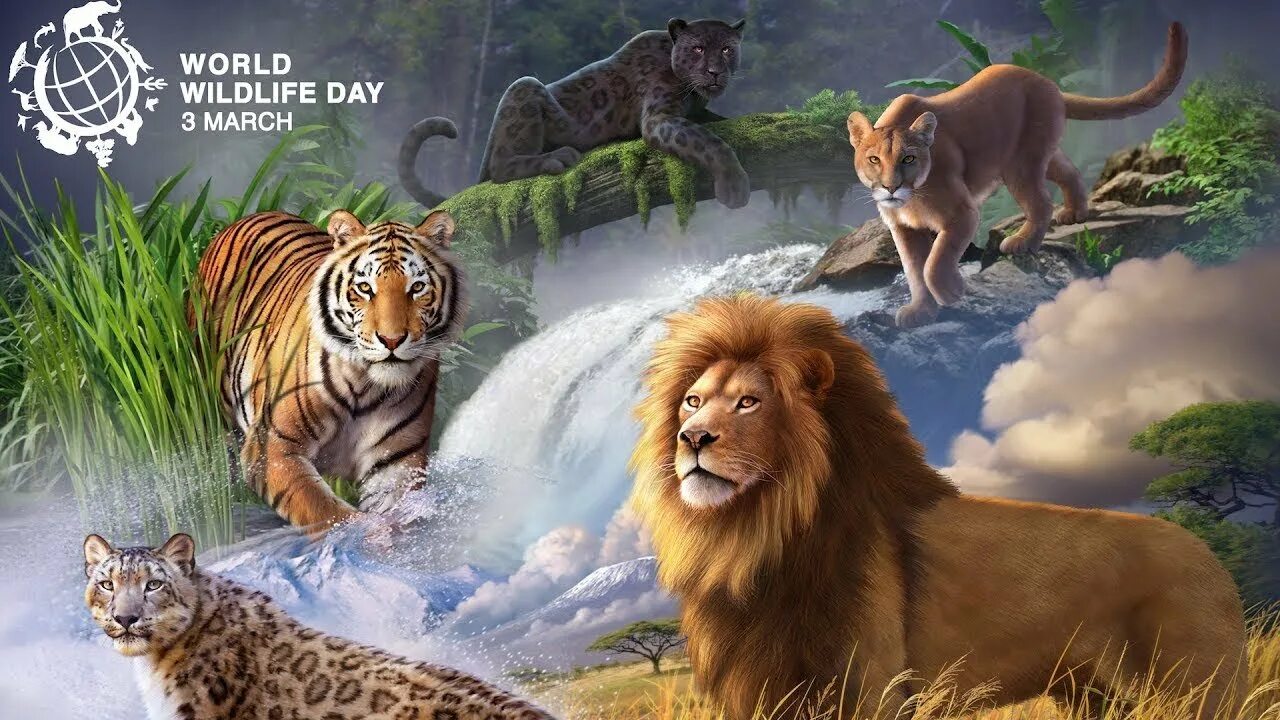 Всемирный день дикой природы (World Wildlife Day). Открытка Всемирный день дикой природы. Мир животных праздник