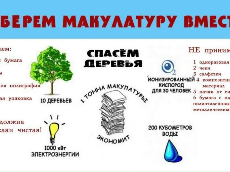 Как можно спасти дерево. Сбор макулатуры. Плакат по сбору макулатуры. Сбор макулатуры плакат. Сбор макулатуры спасем деревья.