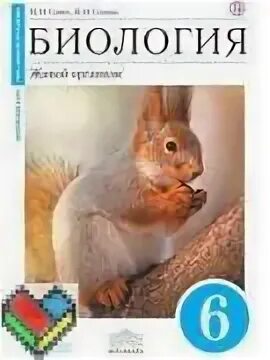 Биология 6 класс учебник с белочкой. Биология 6 класс учебник сонин сонина с белочкой. биология 6 класс сонин с белкой. биология 6 класс учебник с белкой. учебник по биологии 6 класс сонин с белкой.