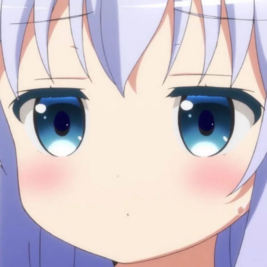 Фиспект. Чино кафу fispeckt. Чино кафу. Cm x fispeckt. Чино кафу.